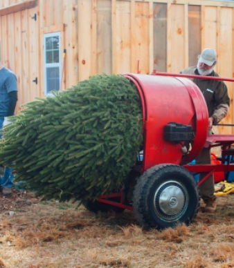 Laurel View Farm